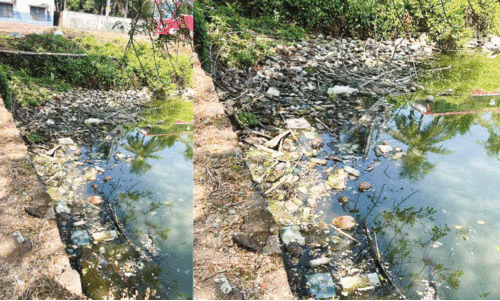 The pond is drowned in filth; How much is the upgrade?