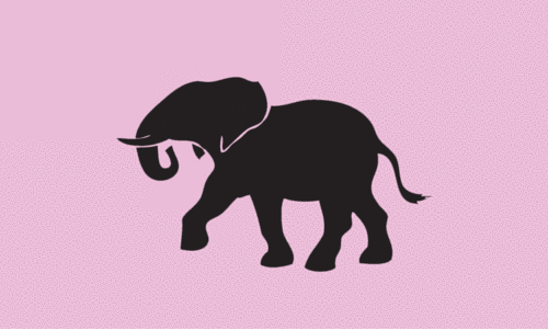 നാശംവിതച്ച്​ വന്യമൃഗങ്ങൾ; ​വീടൊഴിയാൻ നൂറിലേറെ കുടുംബങ്ങൾ