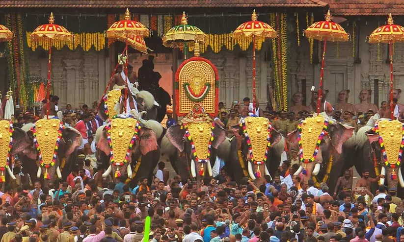 Elephant poaching Elephant poaching