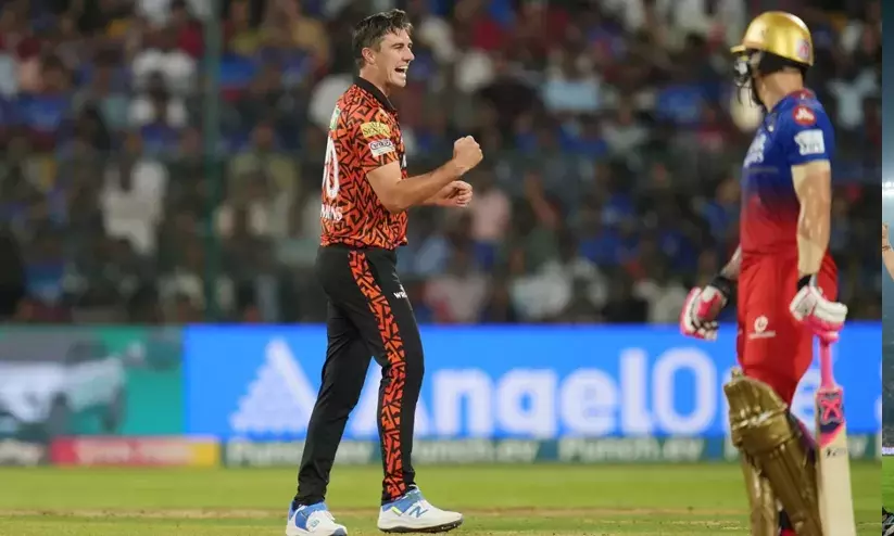 ഡി.കെയുടെ വെടിക്കെട്ടിനും രക്ഷിക്കാനായില്ല; ഹൈദരാബാദിന് 25 റൺസ് ജയം