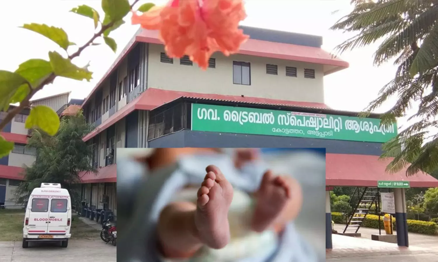 അട്ടപ്പാടിയിൽ ഏഴ് മാസമായ ആദിവാസി കുഞ്ഞ് മരിച്ചു; ആരോഗ്യവകുപ്പിന്റെ ഗുരുതര വീഴചയെന്ന് ആക്ഷേപം