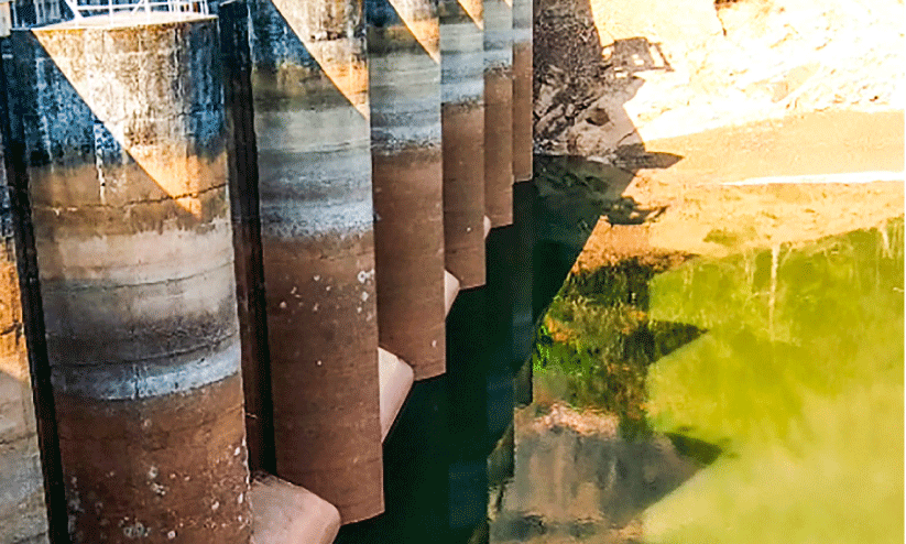 lower periyar dam water level