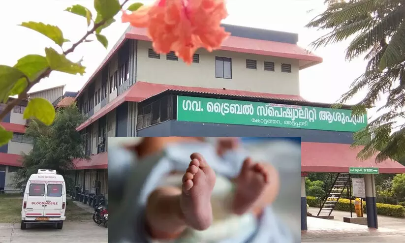 അട്ടപ്പാടിയിൽ ഏഴ് മാസമായ ആദിവാസി കുഞ്ഞ് മരിച്ചു; ആരോഗ്യവകുപ്പിന്റെ ഗുരുതര വീഴചയെന്ന് ആക്ഷേപം