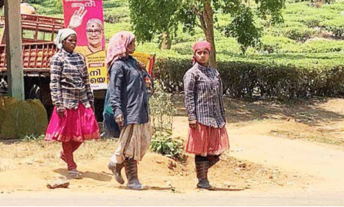 തോ​ട്ടം​തൊ​ഴി​ലാ​ളി​ക​ൾ