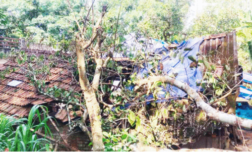 വേനൽമഴയിൽ പന്തളത്ത് വ്യാപകനാശം