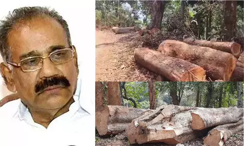 സുഗന്ധഗിരി മരംമുറി: കുറ്റാരോപിതര്‍ക്കെതിരെ ശിക്ഷണ നടപടികള്‍ക്ക് നിർദേശം നല്‍കിയെന്ന് എ.കെ. ശശീന്ദ്രൻ
