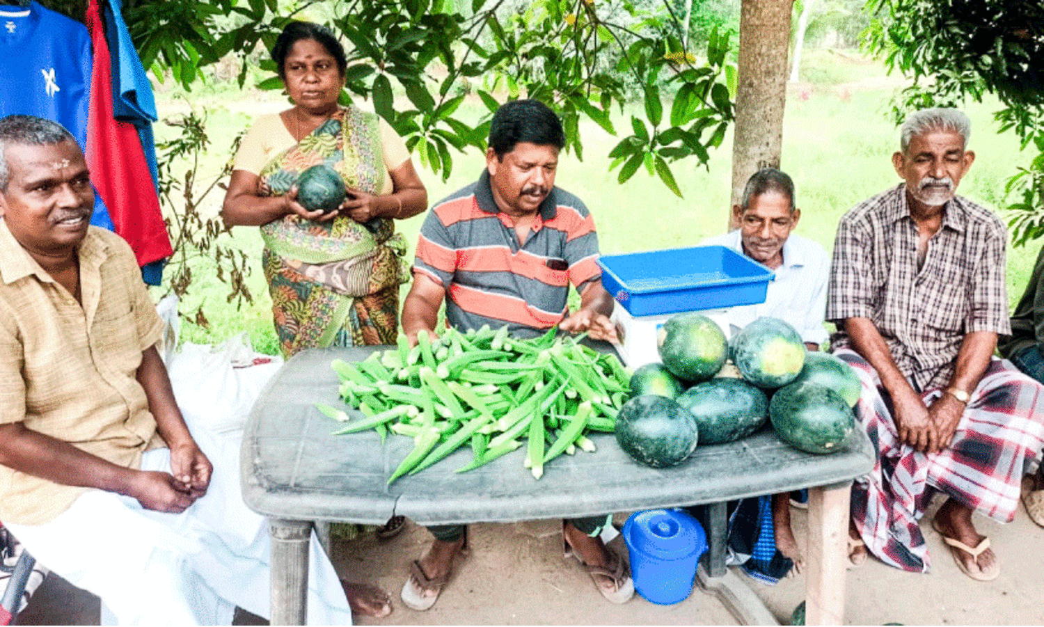 Lok sabha elections 2024