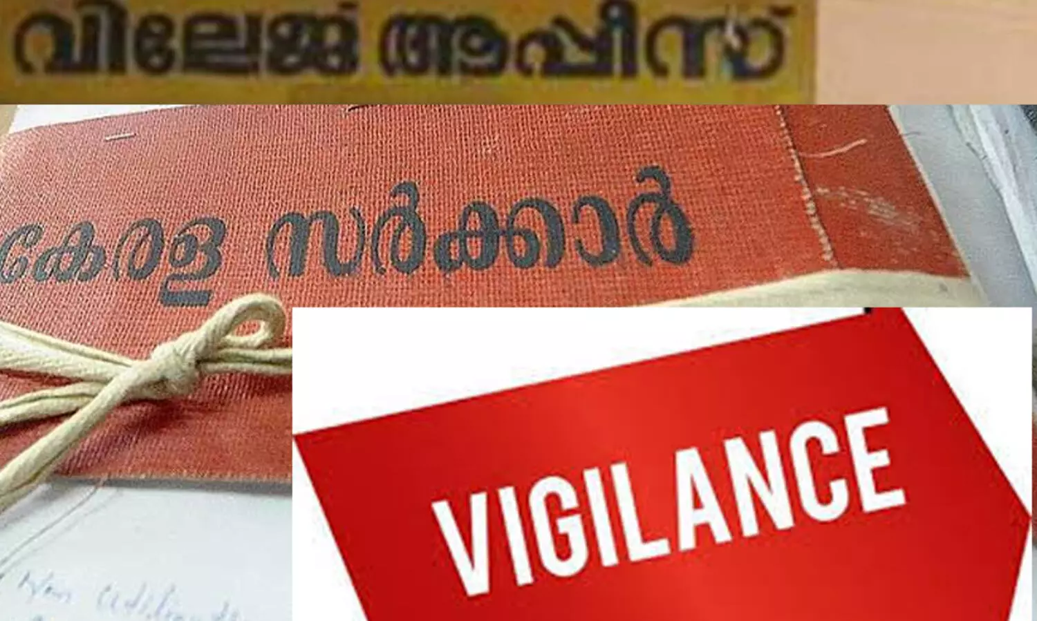 പാലക്കാട് കോഴിപ്പതി വില്ലേജ് ഓഫിസിലെ മുൻ ജീവനക്കാർക്കെതിരെ നടപടി