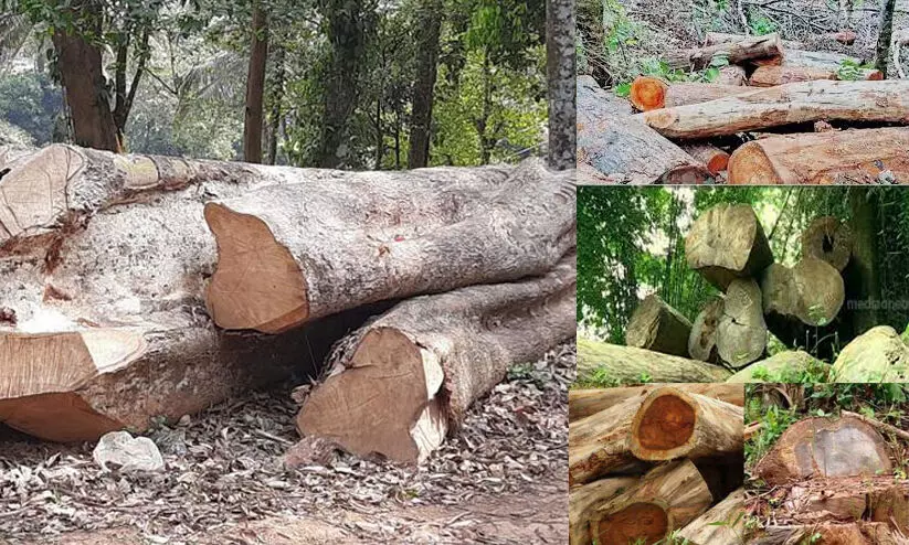 സുഗന്ധഗിരി മരംമുറി: വനംവകുപ്പ് ഉദ്യോഗസ്ഥ കെ. നീതുവിന് സസ്പെന്ഷന് സുഗന്ധഗിരി മരംമുറി: വനംവകുപ്പ് ഉദ്യോഗസ്ഥ കെ. നീതുവിന് സസ്പെന്ഷന്