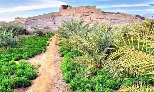 beautiful view of yambu