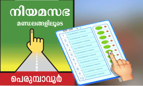 Lok sabha elections 2024