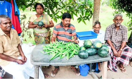 Lok sabha elections 2024