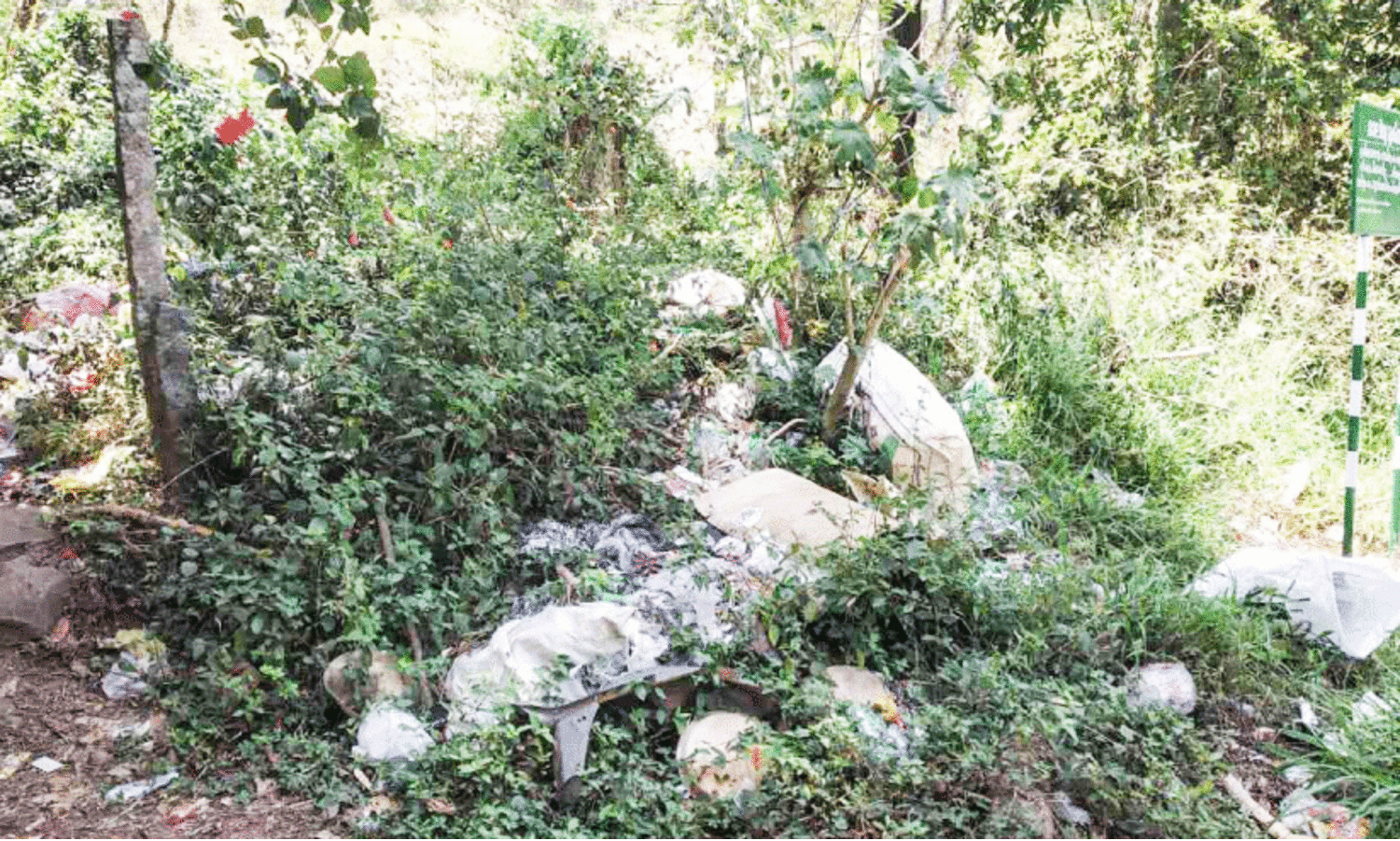 പാറത്തോട്ടിലേക്ക് സഞ്ചാരികളെ  സ്വാഗതം ചെയ്യുന്നത് മാലിന്യക്കൂമ്പാരം