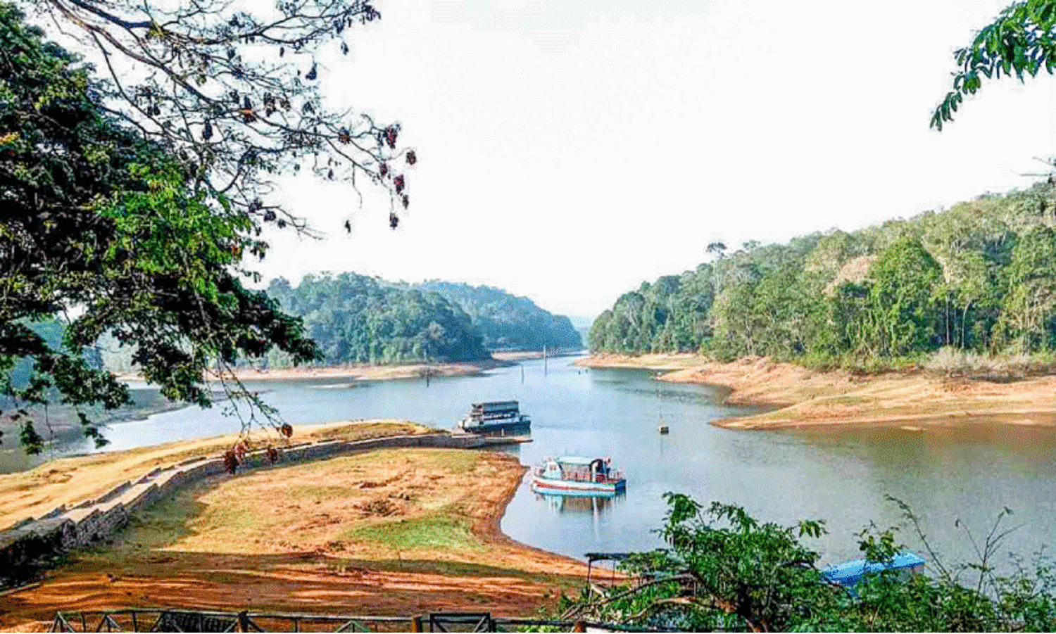 തേക്കടി വറ്റുന്നു; ബോട്ട് സവാരി പ്രതിസന്ധിയിലേക്ക്