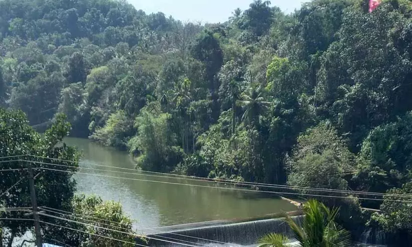 പേ​പ്പ​ർ​മി​ൽ ത​ട​യ​ണ​