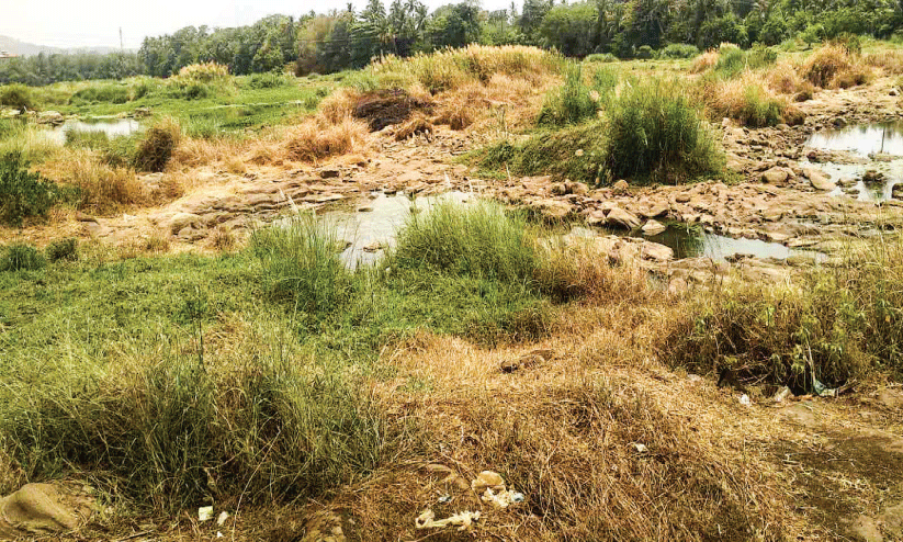 വറ്റിവരണ്ട കണ്ണാടിപ്പുഴ വറ്റിവരണ്ട കണ്ണാടിപ്പുഴ