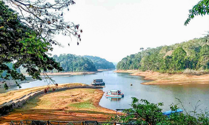 തേക്കടി വറ്റുന്നു; ബോട്ട് സവാരി പ്രതിസന്ധിയിലേക്ക്