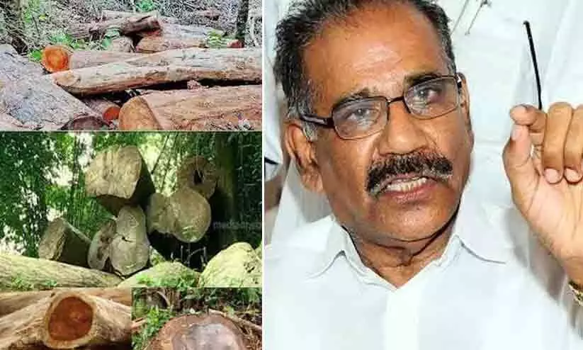 സുഗന്ധഗിരി മരംമുറി: ഡി.എഫ്.ഒയുടെ സസ്പെൻഷൻ മരവിപ്പിച്ച് മന്ത്രി സുഗന്ധഗിരി മരംമുറി: ഡി.എഫ്.ഒയുടെ സസ്പെൻഷൻ മരവിപ്പിച്ച് മന്ത്രി