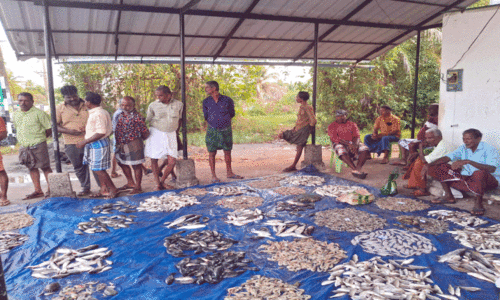 മത്സ്യബന്ധന മേഖലയിൽ ഉയരുന്നത് പ്രതിഷേധക്കാറ്റ്