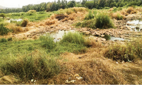 വ​റ്റി​വ​ര​ണ്ട ക​ണ്ണാ​ടി​പ്പു​ഴ