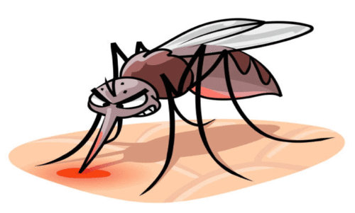 കൊതുകുജന്യ രോഗങ്ങള്‍ വര്‍ധിക്കാന്‍ സാധ്യത; ജനം ജാഗ്രത പാലിക്കണം