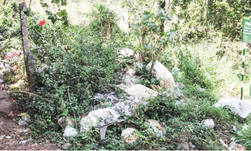 പാറത്തോട്ടിലേക്ക് സഞ്ചാരികളെ  സ്വാഗതം ചെയ്യുന്നത് മാലിന്യക്കൂമ്പാരം