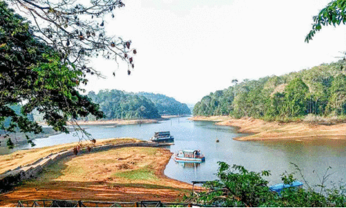 തേക്കടി വറ്റുന്നു; ബോട്ട് സവാരി പ്രതിസന്ധിയിലേക്ക്