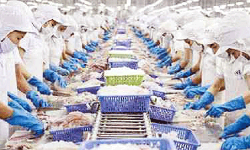 തെരഞ്ഞെടുപ്പിൽ നിറഞ്ഞ് ‘ചെമ്മീൻ’ തെരഞ്ഞെടുപ്പിൽ നിറഞ്ഞ് ‘ചെമ്മീൻ’