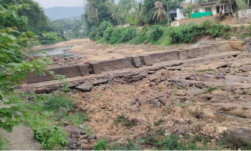 കുടിവെള്ളത്തിനായി നെട്ടോട്ടം; പ്രശ്നപരിഹാരത്തിന് പദ്ധതികൾ ഇല്ല കുടിവെള്ളത്തിനായി നെട്ടോട്ടം; പ്രശ്നപരിഹാരത്തിന് പദ്ധതികൾ ഇല്ല