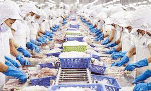 തെരഞ്ഞെടുപ്പിൽ നിറഞ്ഞ്​ ‘ചെമ്മീൻ’