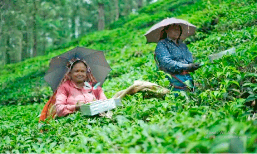 Thumpi Vampumai educational video Thumpi Vampumai educational video