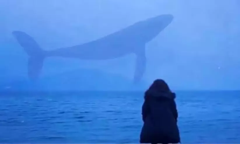 യു.എസിൽ ഇന്ത്യൻ വിദ്യാർഥി മരിച്ച സംഭവത്തിന് പിന്നിൽ ബ്ലൂവെയില്‍ ഗെയിമെന്ന് സൂചന