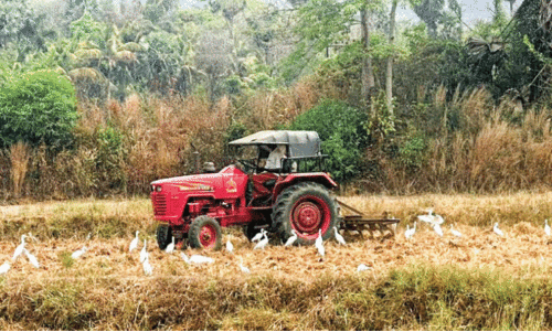 agriculture agriculture