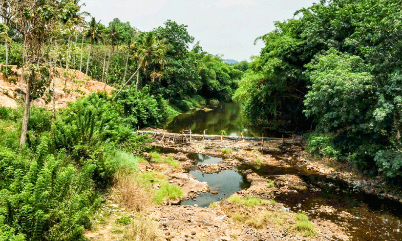 വാമനപുരം നദിയിൽ ജലപ്രതിസന്ധി രൂക്ഷം; ഏത് നിമിഷവും നിലക്കാം കുടിവെള്ളം വാമനപുരം നദിയിൽ ജലപ്രതിസന്ധി രൂക്ഷം; ഏത് നിമിഷവും നിലക്കാം കുടിവെള്ളം
