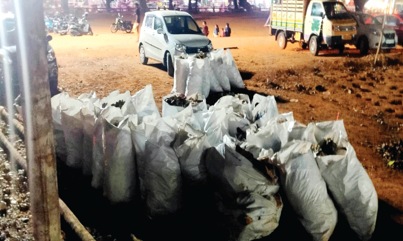 പൂരം കഴിഞ്ഞ് മണിക്കൂറുകൾക്കകം നഗരം ക്ലീൻ