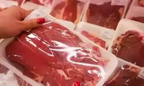 meat