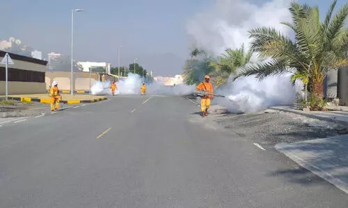 മ​ഴ​ക്കെ​ടു​തി: അ​ബൂ​ദ​ബി​യി​ല്‍ ന​ട​പ​ടി​ക​ള്‍ അ​തി​വേ​ഗം