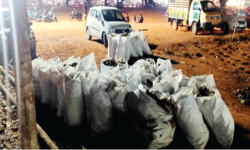 പൂരം കഴിഞ്ഞ് മണിക്കൂറുകൾക്കകം നഗരം ക്ലീൻ