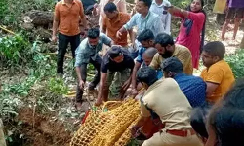 മണിക്കൂറുകൾ നീണ്ട രക്ഷാപ്രവർത്തനം; കിണറ്റിൽ വീണ പുള്ളിമാനെ രക്ഷപ്പെടുത്തി