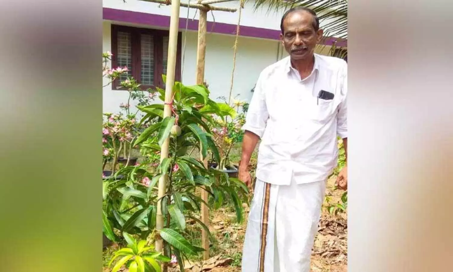 Near Japanese Miyazaki