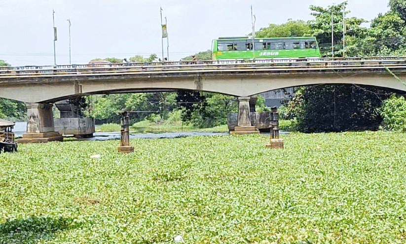 പോ​ള നി​റ​ഞ്ഞനി​ല​യി​ൽ