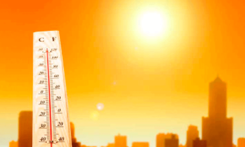 കനത്ത ചൂടില് ക്ഷീരമേഖല പ്രതിസന്ധിയിൽ; തീറ്റപ്പുൽ ക്ഷാമം രൂക്ഷം, കർഷകർ പശുക്കളെ വിറ്റൊഴിക്കുന്നു കനത്ത ചൂടില് ക്ഷീരമേഖല പ്രതിസന്ധിയിൽ; തീറ്റപ്പുൽ ക്ഷാമം രൂക്ഷം, കർഷകർ പശുക്കളെ വിറ്റൊഴിക്കുന്നു