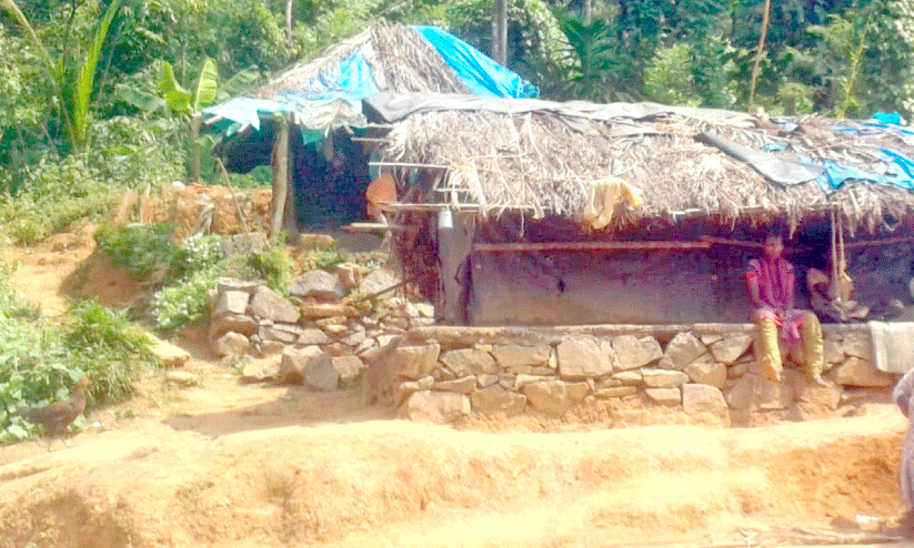 housess at nellikkachal colony housess at nellikkachal colony