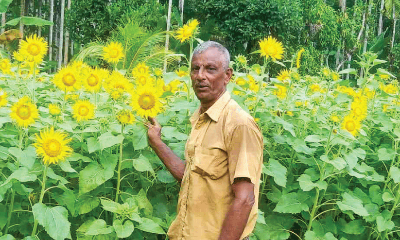 sooryakanthi sooryakanthi