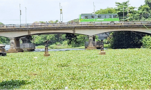 പോ​ള നി​റ​ഞ്ഞനി​ല​യി​ൽ