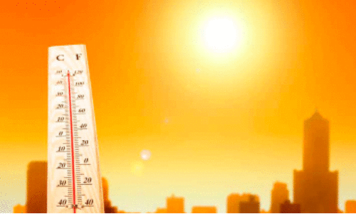 കനത്ത ചൂടില്‍ ക്ഷീരമേഖല പ്രതിസന്ധിയിൽ; തീറ്റപ്പുൽ ക്ഷാമം രൂക്ഷം, കർഷകർ പശുക്കളെ വിറ്റൊഴിക്കുന്നു