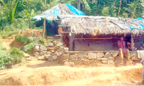 housess at nellikkachal colony