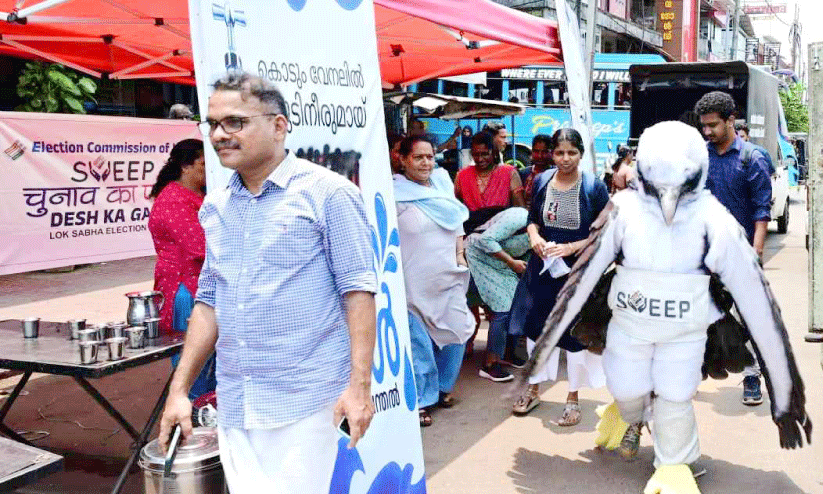 വെള്ള വയറൻ കടൽപരുന്ത് വെള്ള വയറൻ കടൽപരുന്ത്