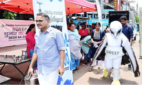 വെള്ള വയറൻ കടൽപരുന്ത്