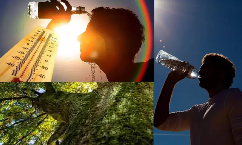 കേരളത്തിൽ വോട്ടെടുപ്പ് കൊടും ചൂടിൽ: 11 ജില്ലകളിൽ താപനില ഉയരുമെന്നും കാലാവസ്ഥാ കേന്ദ്രം മുന്നറിയിപ്പ്